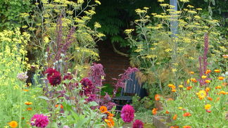 P1240525 privatgarten