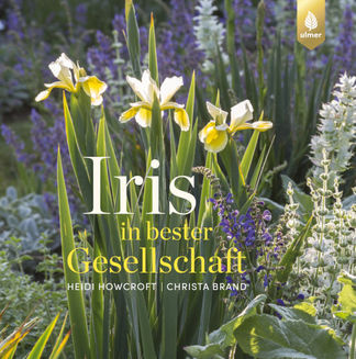 Iris-ulmer