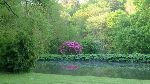 Endsleigh