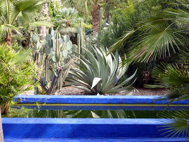 Le Jardin Majorelle